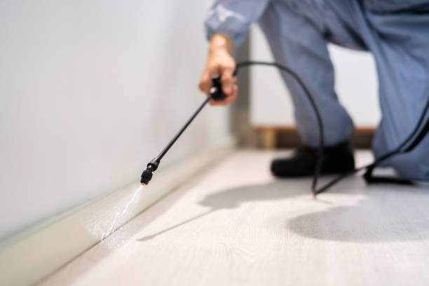 Professional exterminator conducting IPM assessment in El Macero